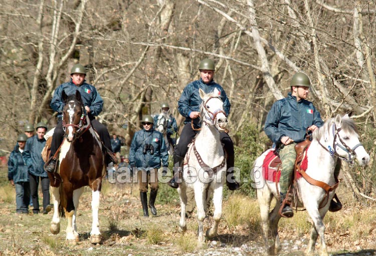 meritsa2010-05