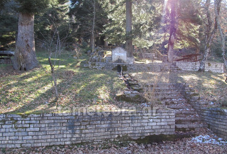olk-glikomilia7216_00088