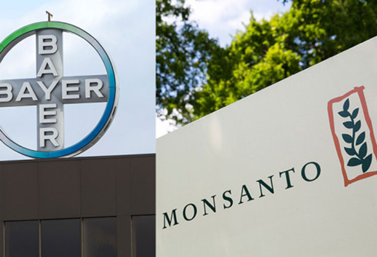 Monsanto - Bayer