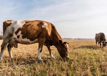 depositphotos.com/gr