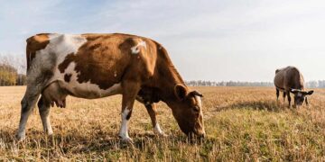 depositphotos.com/gr