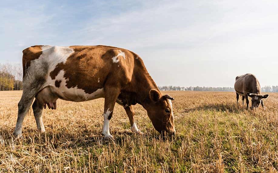 depositphotos.com/gr