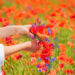 Image by GarryKillian on Magnific